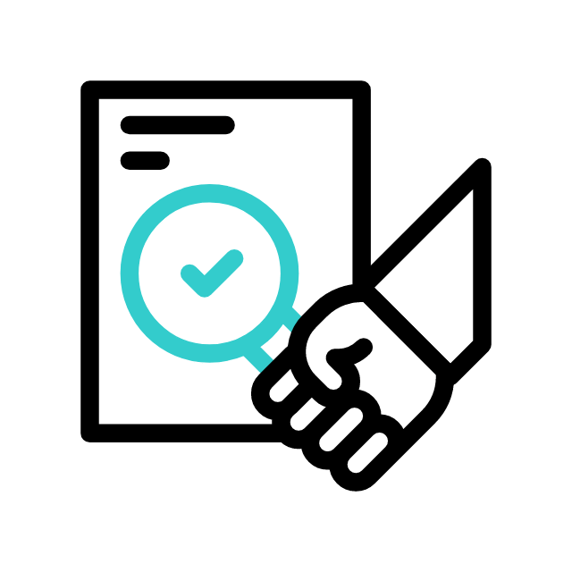 IT Audit